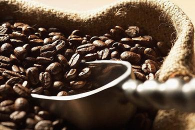 《双点博物馆》首次加入促销阵容 “SEGA年中大促”进行中